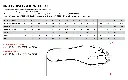 2022_NEW_SIZE_CHART_TOURING.webp
