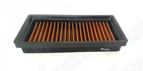 P08 - PM207S