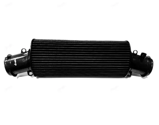 [C1058S F1-85] P08 F1-85 - C1058S F1-85