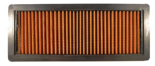 [P446S] P08 - P446S